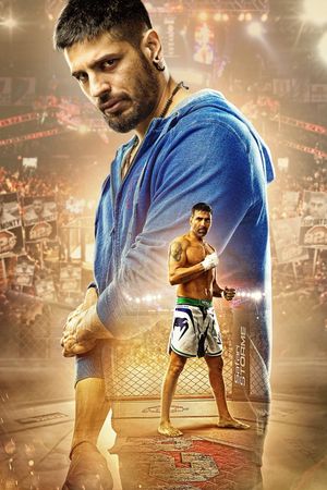 Brothers's poster