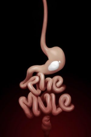 The Mule's poster