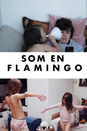 Som en flamingo's poster