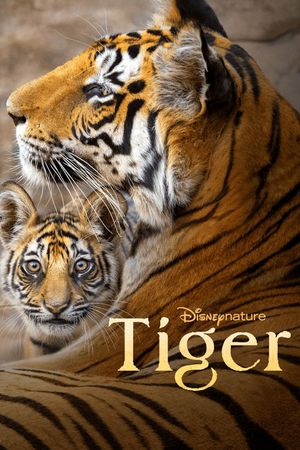 Tiger's poster