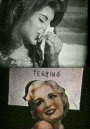 Chicas de flores's poster