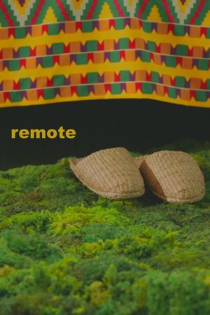Remote's poster