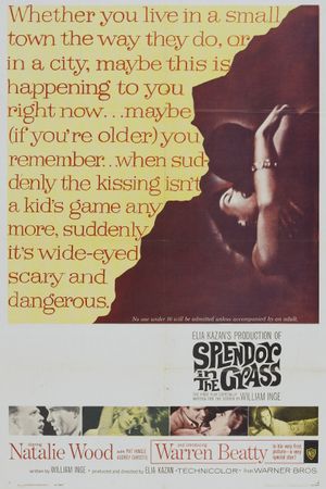 Splendor in the Grass's poster