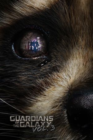 Guardians of the Galaxy Vol. 3's poster