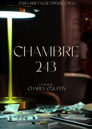 Chambre 243's poster