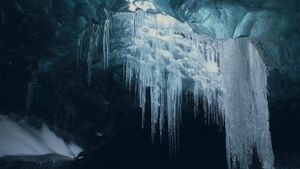 Nature : pour une réconciliation's poster