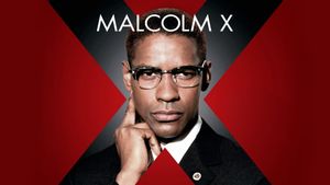 Malcolm X's poster