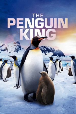 The Penguin King's poster image