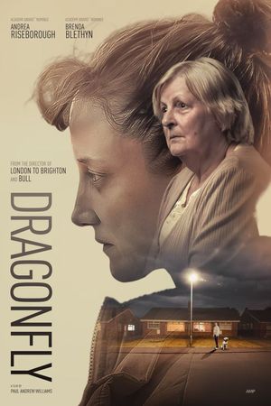 Dragonfly's poster