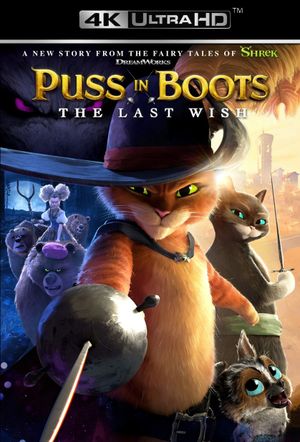 Puss in Boots: The Last Wish's poster