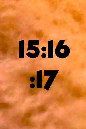 15:16:17's poster