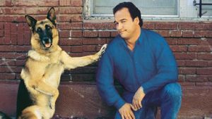 K-911's poster