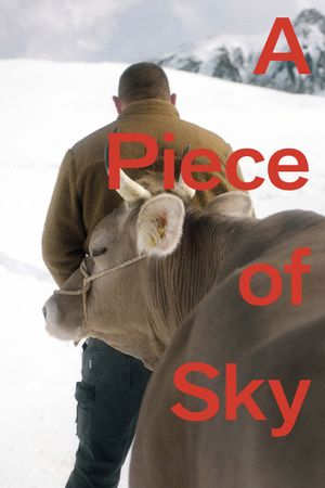 A Piece of Sky's poster