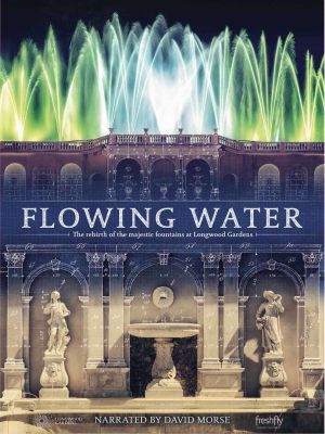Flowing Water's poster