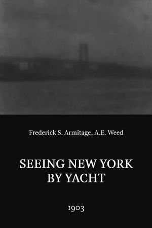 Seeing New York by Yacht's poster