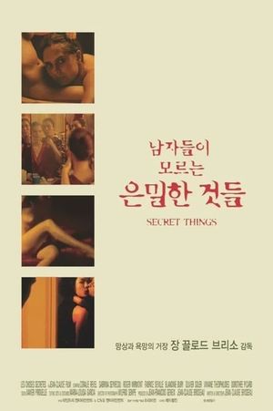 Secret Things's poster