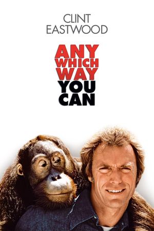 Any Which Way You Can's poster