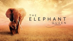 The Elephant Queen's poster