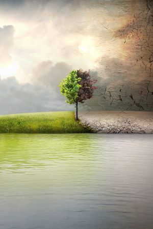 Before the Flood's poster