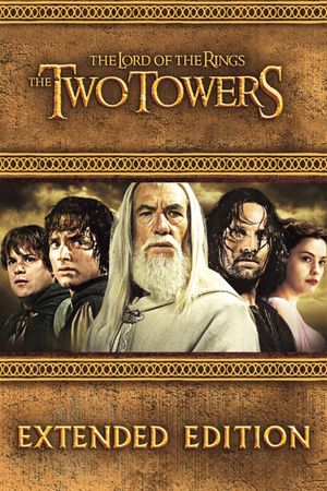 The Lord of the Rings: The Two Towers's poster