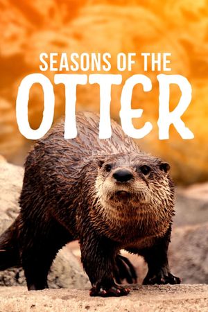 Seasons of the Otter's poster image