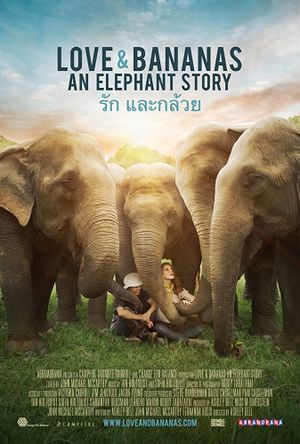 Love & Bananas: An Elephant Story's poster