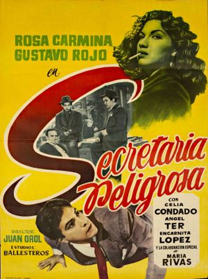 Secretaria peligrosa's poster