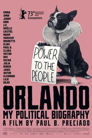 Orlando: My Political Biography's poster