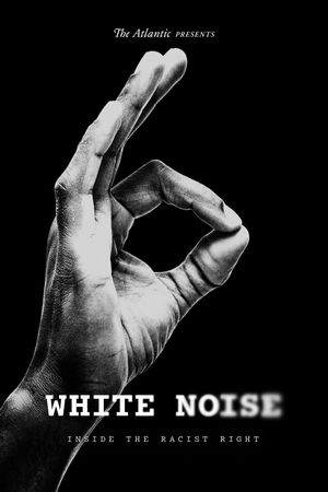 White Noise's poster