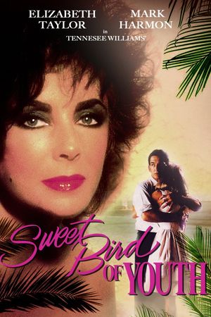 Sweet Bird of Youth's poster