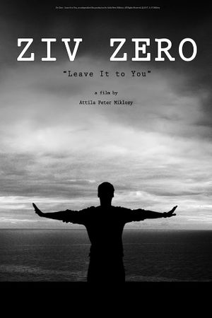 Ziv Zero's poster