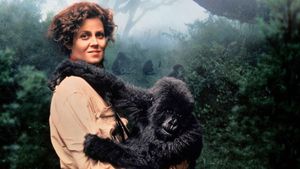 Gorillas in the Mist's poster