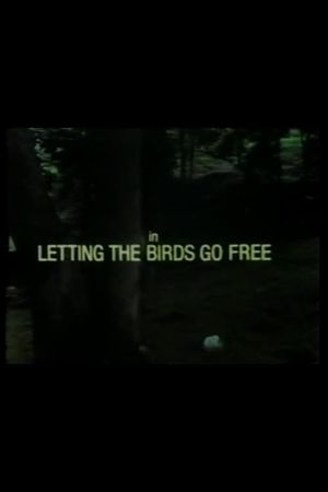 Letting the Birds Go Free's poster image