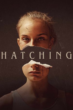 Hatching's poster