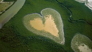 Nature : pour une réconciliation's poster
