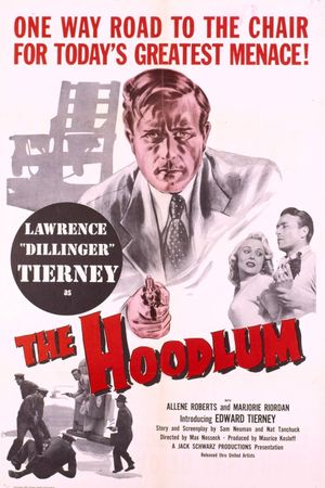 The Hoodlum's poster