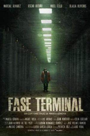 Terminal Phase's poster