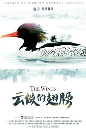 The Wings's poster image