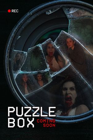 Puzzle Box's poster