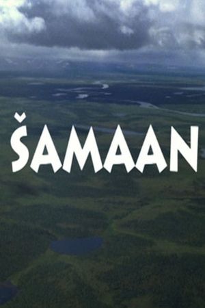 The Shaman's poster