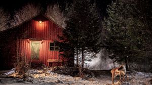 Prancer: A Christmas Tale's poster