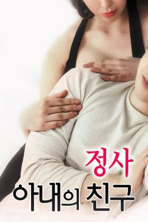 An Affair: My Wife's Friend's poster