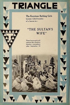 The Sultan's Wife's poster