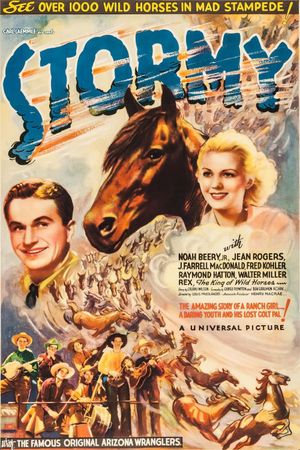 Stormy's poster