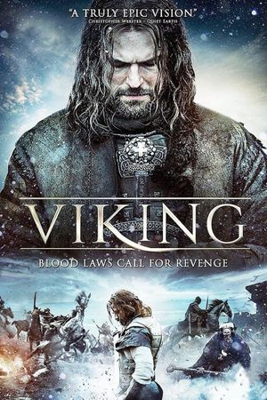 Viking's poster