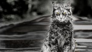 Pet Sematary's poster