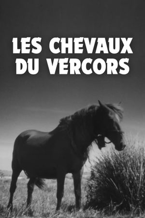 Les Chevaux du Vercors's poster