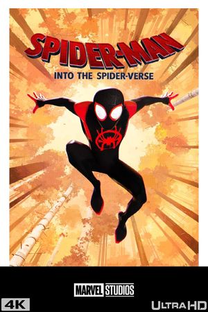 Spider-Man: Into the Spider-Verse's poster