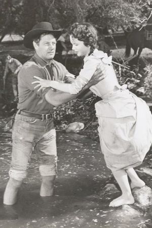 Saddle Tramp's poster
