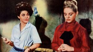 7 Women's poster